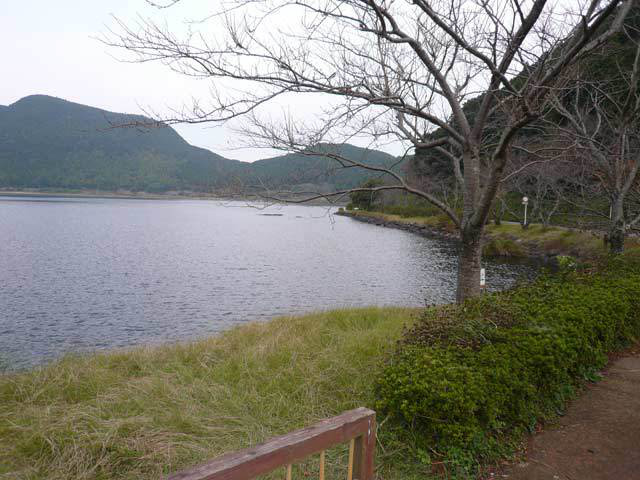 藺牟田池自然公園