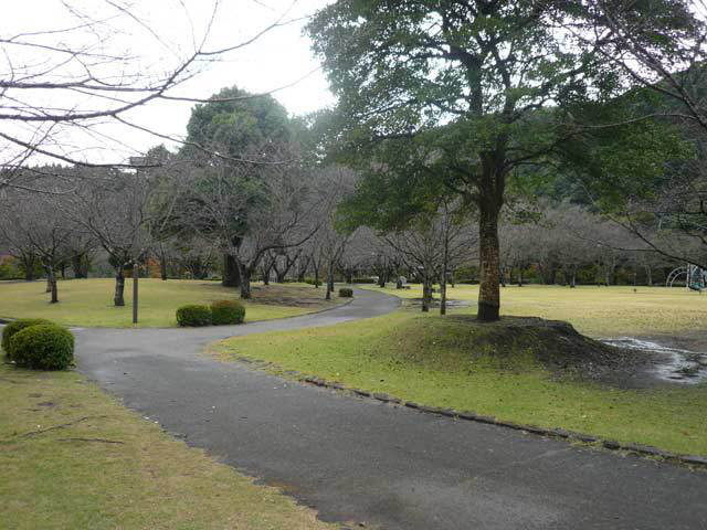 岩屋公園キャンプ場