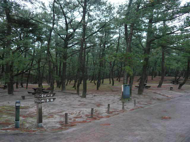 くにの松原キャンプ場