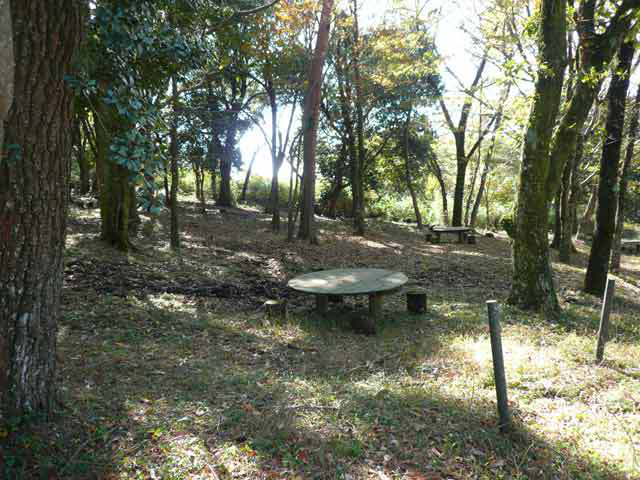 フィールドアート 栗野岳ログ・キャンプ村