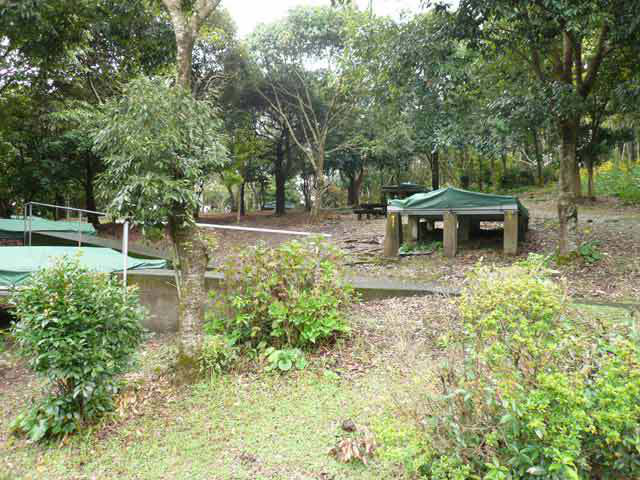 グリーンファーム