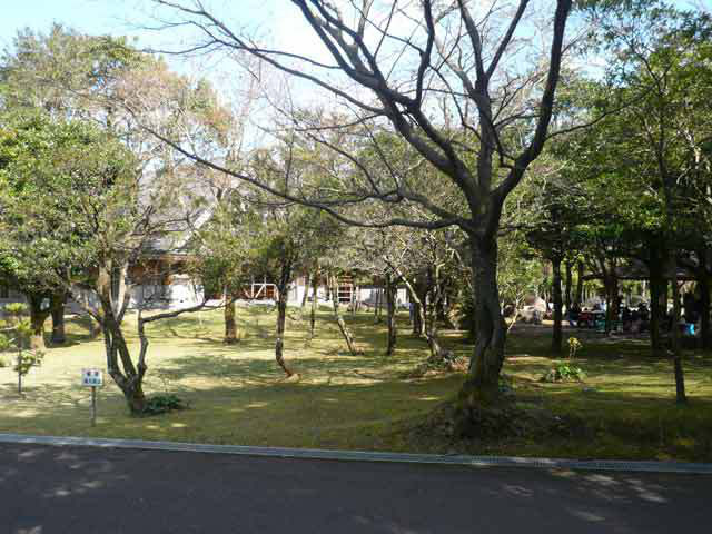 八重山公園キャンプ村