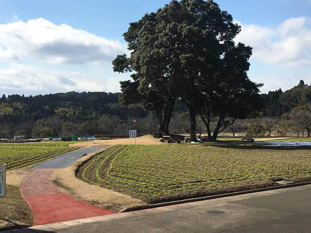 鹿児島市都市農業センター